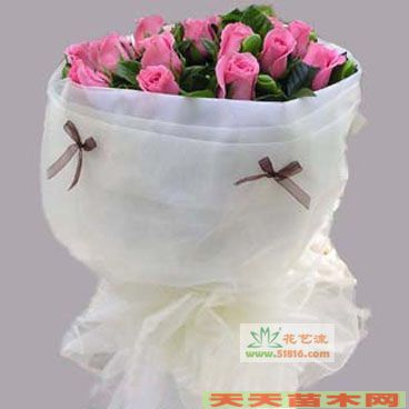 黨܈DƬ/黨Ƭp